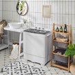 Pemberly Row 26lbs Portable Semi-automatic Twin Tub Washing Machine in Gray