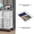 Pemberly Row 20 Drawers Rolling Cart Storage Studio Organizer Bins White