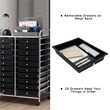 Pemberly Row 20 Drawers Rolling Cart Storage Studio Organizer Bins Black