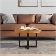 Pemberly Row Medium Solid Teak Mango Wood Coffee Table in Multicolor