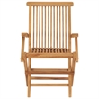 Pemberly Row Standard Collapsible Teak Wood Garden Chair (Set of 2)
