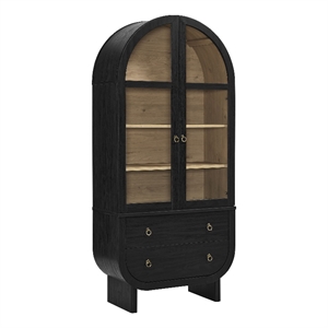 Pemberly Row Contemporary Display Cabinet with Tempered Glass Doors in Black