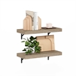 Pemberly Row 22-Inch Wall Mounted Floating Display Shelves in Natural Set of 2
