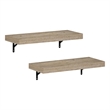 Pemberly Row 22-Inch Wall Mounted Floating Display Shelves in Natural Set of 2