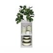 Pemberly Row 2-Tier Storage Shelf Bookcase in 10-Inch Width in White