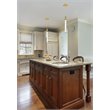 Pemberly Row Contemporary 1-Light Metal and Crystal Pendant in Satin Gold