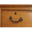 Pemberly Row Transitional 4-Drawers Wood Filing Cabinet in Natural