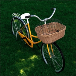 Bicycle Helmets and Accessories