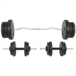 Pemberly Row Versatile 132.3lbs Barbell and Dumbbell Set in Black