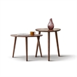 Pemberly Row Mid-Century Modern Wooden Side Walnut Table with Round Top