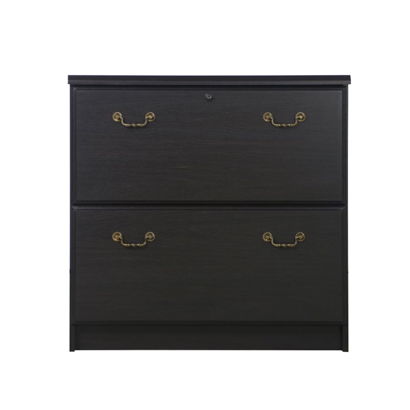 Pemberly Row Transitional Wood Lateral File Cabinet in Espresso