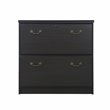 Pemberly Row Transitional Wood Lateral File Cabinet in Espresso