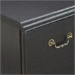 Pemberly Row Transitional Wood Lateral File Cabinet in Espresso
