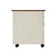 Pemberly Row Farmhouse Wood Mobile File Cabinet in Antique White