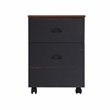 Pemberly Row Modern Farmhouse Wood Mobile File Cabinet in Espresso