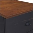 Pemberly Row Modern Farmhouse Wood Mobile File Cabinet in Espresso