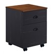 Pemberly Row Modern Farmhouse Wood Mobile File Cabinet in Espresso
