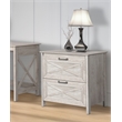 Pemberly Row Wood 2 Drawer Lateral Filing Cabinet in Washed Gray