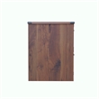 Pemberly Row Engineered Wood Contemporary 2 Door Storage in Dark Walnut