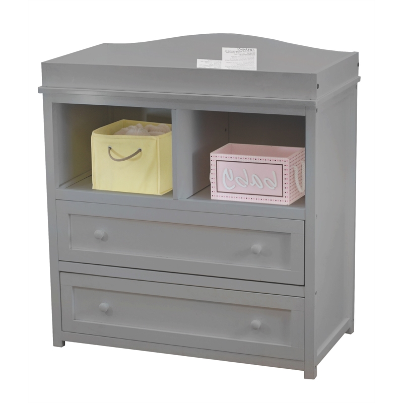 Pemberly Row Contemporary Solid Wood 2-Drawers Changing Table in Gray