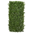 Pemberly Row Expandable Podocarpus Fence UV Resistant & Waterproof in Green
