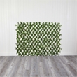 Pemberly Row Expandable Podocarpus Fence UV Resistant & Waterproof in Green