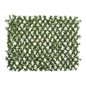 Pemberly Row Expandable Podocarpus Fence UV Resistant & Waterproof in Green