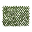 Pemberly Row Expandable Podocarpus Fence UV Resistant & Waterproof in Green