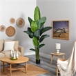 Pemberly Row Travelers Palm Artificial Tree with Upward Leaves in Green/Black