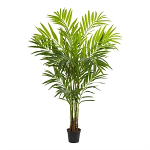 Pemberly Row King Palm Artificial Tree with Feather-Like Foliage - Green/Black