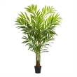 Pemberly Row King Palm Artificial Tree with Feather-Like Foliage - Green/Black