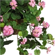Pemberly Row Geranium Hanging Basket Silk Plant in Pink/Brown
