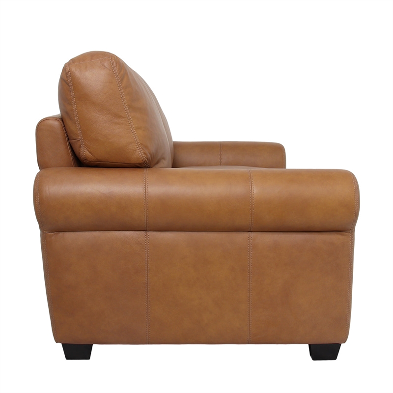 Pemberly Row Contemporary Top Grain Leather Love Seat in Tan