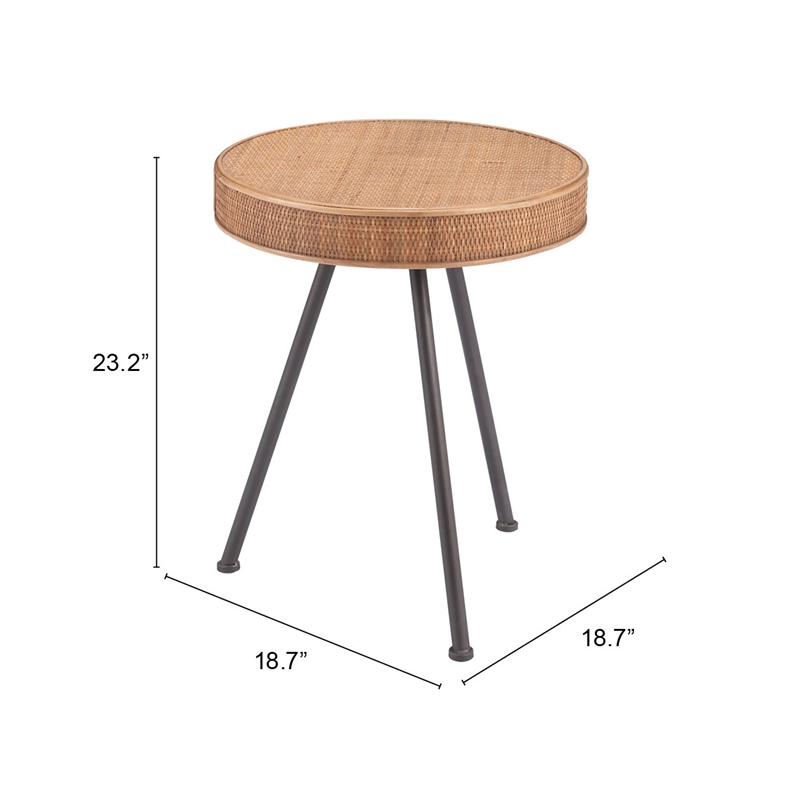Pemberly Row Modern / Contemporary Metal Side Table Natural Finish