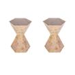 Pemberly Row Set of 2 Modern Wood Hexagon Side Tables in Light Burl