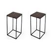 Pemberly Row Set of 2 Modern / Contemporary Bronze Top End Tables