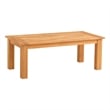 Pemberly Row Modern Solid Teak Outdoor 18