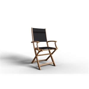 Pemberly Row Modern Teak Outdoor Folding Armchair in Black Dura-Sling Fabric