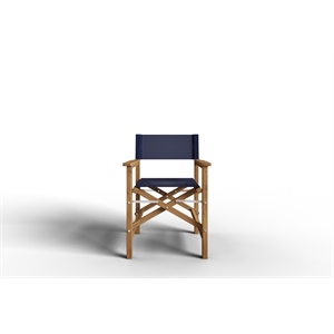 Pemberly Row Modern Teak Outdoor Folding Armchair in Blue Dura-Sling Fabric