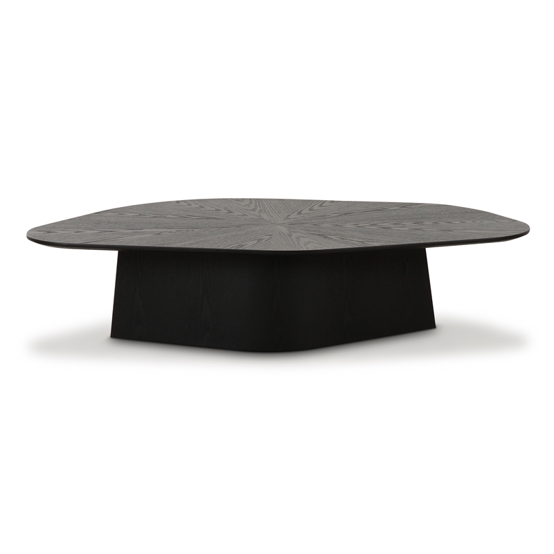 Pemberly Row Contemporary Accent Black Ash Finish Low Coffee Table