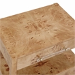 Pemberly Row Contemporary Accent Honey Burl Wooden Nightstand