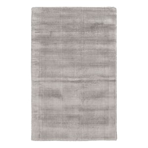 Pemberly Row Transitional 24 x 36&quot Viscose Fabric Area Rug in Dove Gray