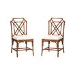 Pemberly Row Set of 2 Marbled Tortoise Natural Rattan Dining Chairs