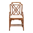 Pemberly Row Set of 2 Marbled Tortoise Natural Rattan Dining Chairs