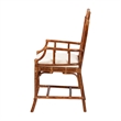Pemberly Row Set of 2 Marbled Tortoise Natural Rattan Dining Chairs
