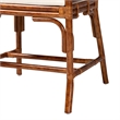 Pemberly Row Set of 2 Marbled Tortoise Natural Rattan Dining Chairs