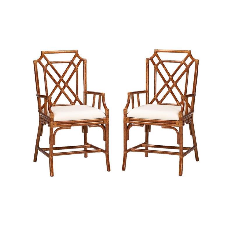 Pemberly Row Set of 2 Marbled Tortoise Natural Rattan Dining Chairs