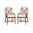 Pemberly Row Set of 2 Marbled Tortoise Natural Rattan Dining Chairs