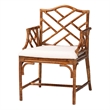 Pemberly Row Set of 2 Marbled Tortoise Natural Rattan Dining Chairs