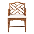 Pemberly Row Set of 2 Marbled Tortoise Natural Rattan Dining Chairs